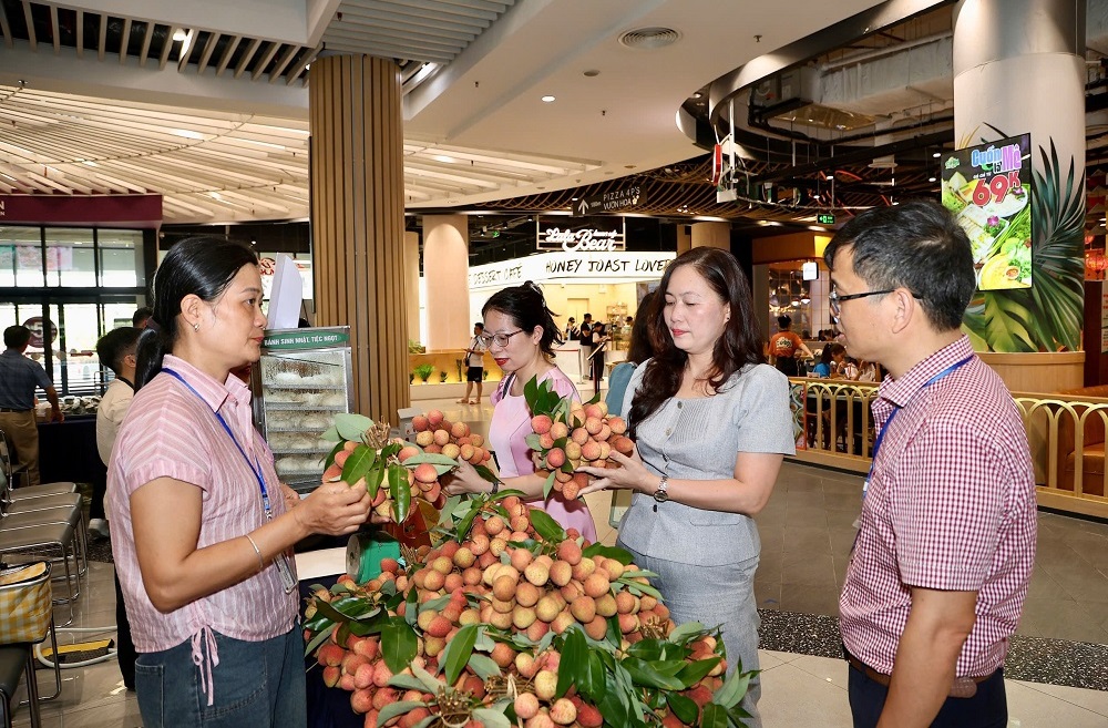 Vai thieu vao Sieu thi Aeon Mall Hai Phong.jpg